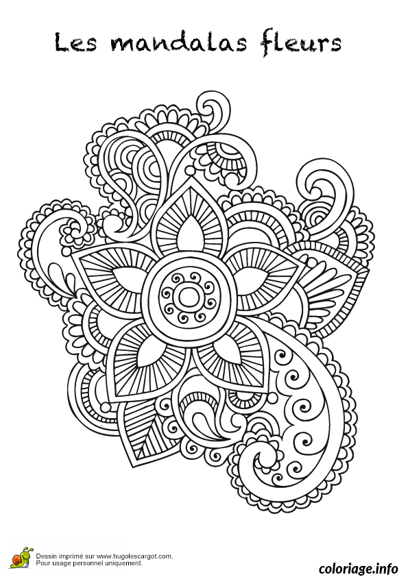 Coloriage Forêt enchantée avec animaux sauvages - Adulte à imprimer