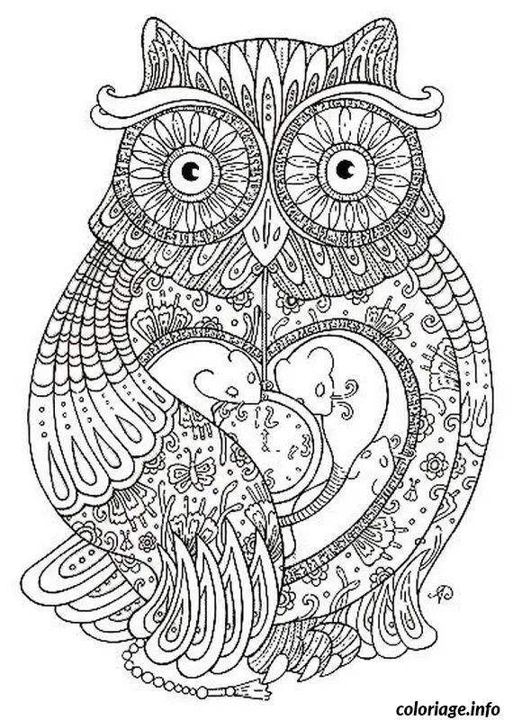 Coloriage Hibou mandala zen détaillé - Adulte à imprimer