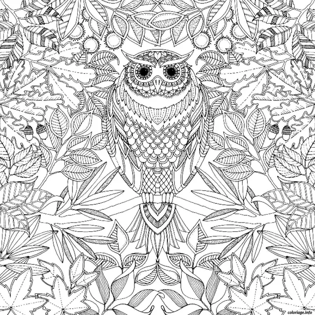 Coloriage Hibou majestueux dans la forêt enchantée - Adulte à imprimer