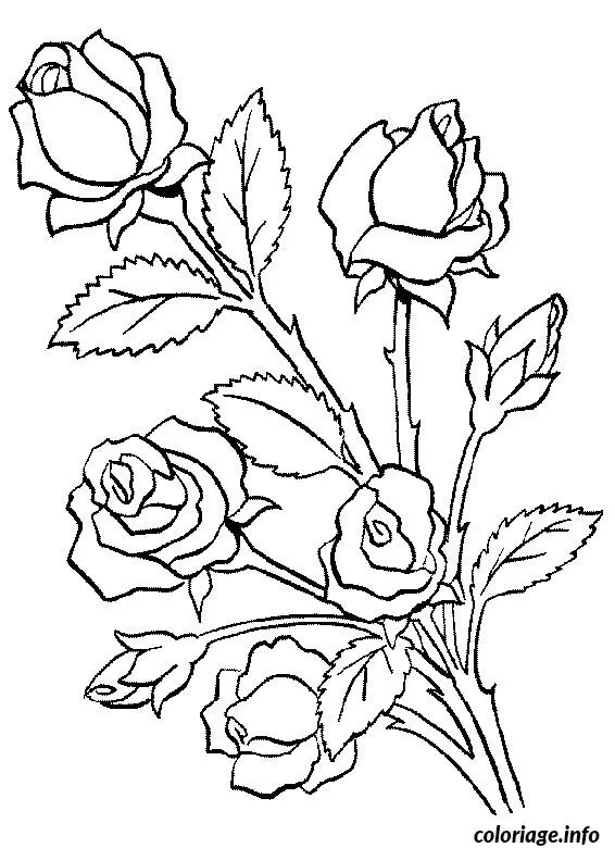 Coloriage Zentangle floral aux détails sophistiqués - Adulte à imprimer