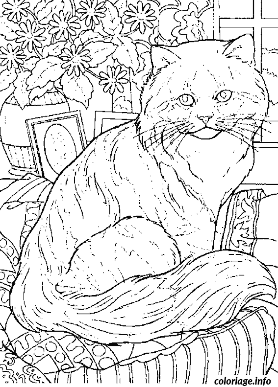 Coloriage Chat dans un jardin fleuri - Adulte à imprimer