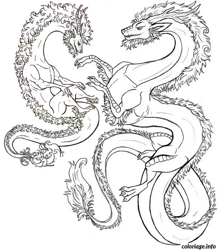 Coloriage Motifs abstraits et zentangles entrecroisés - Adulte à imprimer