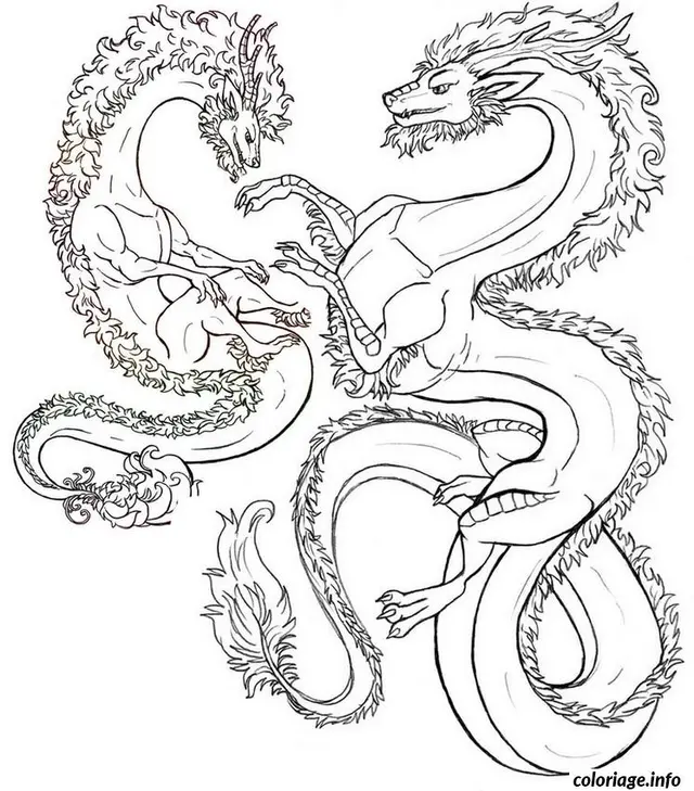 Coloriage Motifs abstraits et zentangles entrecroisés - Adulte à imprimer