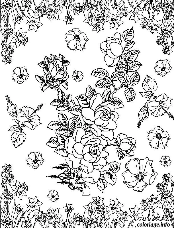 Coloriage Zentangle élaboré aux mille détails - Adulte à imprimer