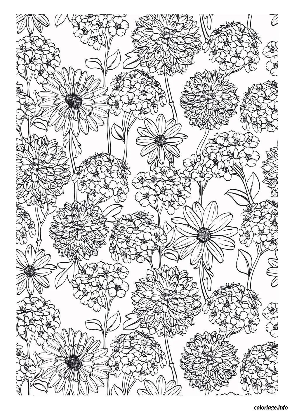 Coloriage Mandala zen relaxant pour adulte apaisant - Adulte à imprimer
