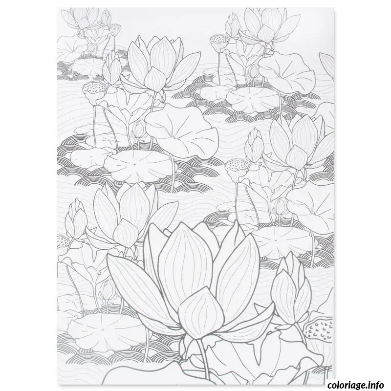 Coloriage Mandala zen relaxant pour adulte serein - Adulte à imprimer