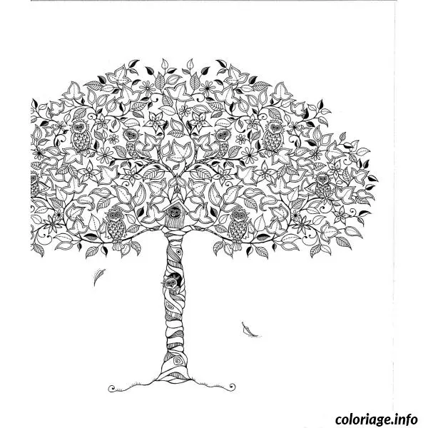 Coloriage Motifs floraux apaisants pour détente adulte - Adulte à imprimer