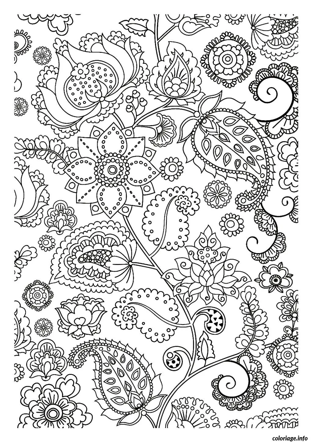 Coloriage Spirales et arabesques relaxantes pour adultes - Adulte à imprimer