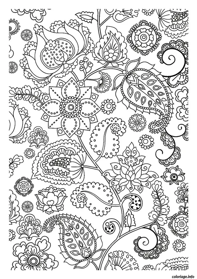 Coloriage Spirales et arabesques relaxantes pour adultes - Adulte à imprimer