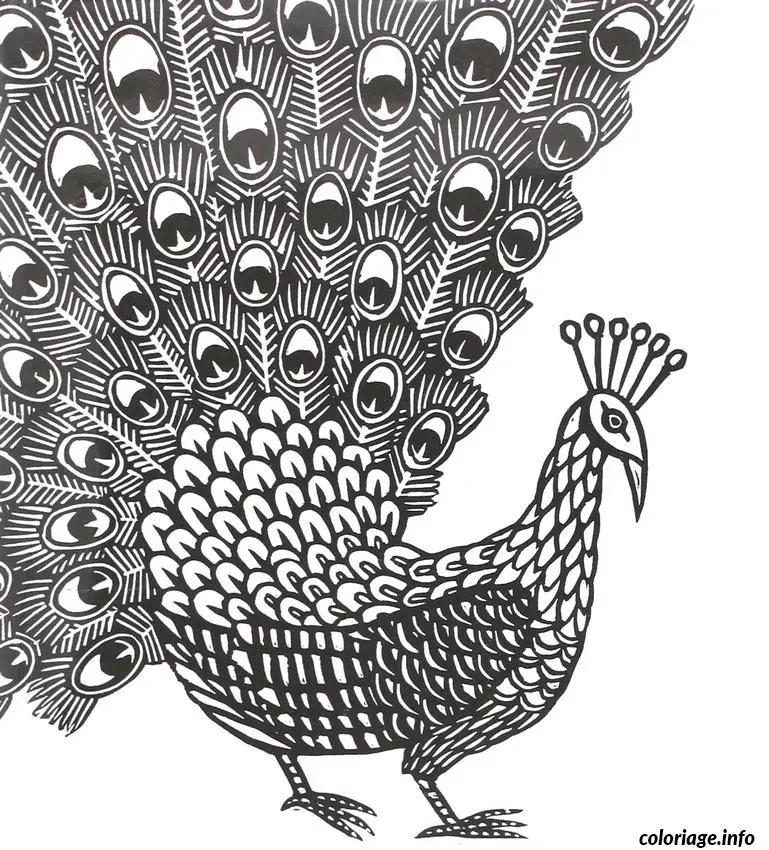 Coloriage Motifs floraux entrelacés pour la détente - Adulte à imprimer