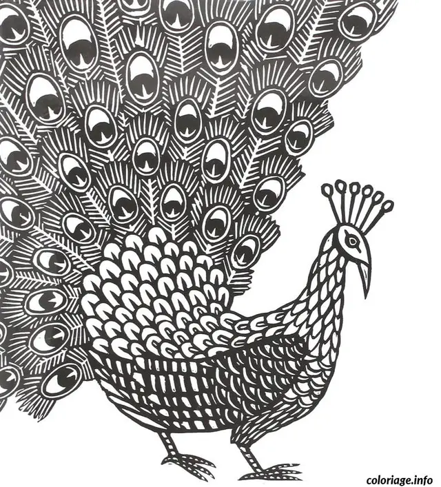 Coloriage Motifs floraux entrelacés pour la détente - Adulte à imprimer