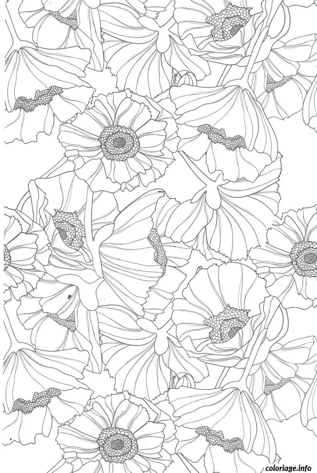 Coloriage Patterns abstraits pour sérénité adulte - Anti stress à imprimer