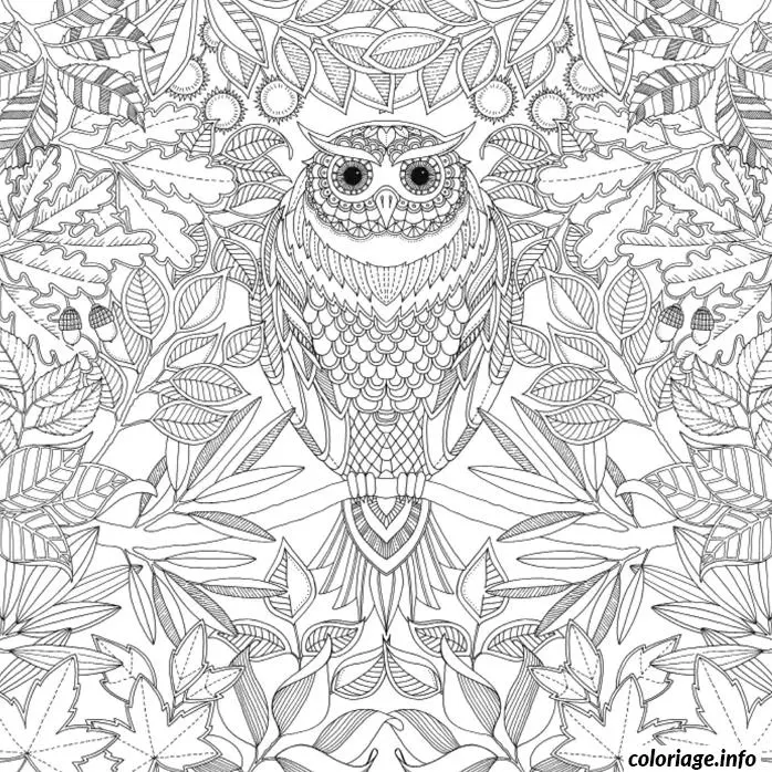 Coloriage Mandala floral apaisante pour adultes - Anti stress à imprimer
