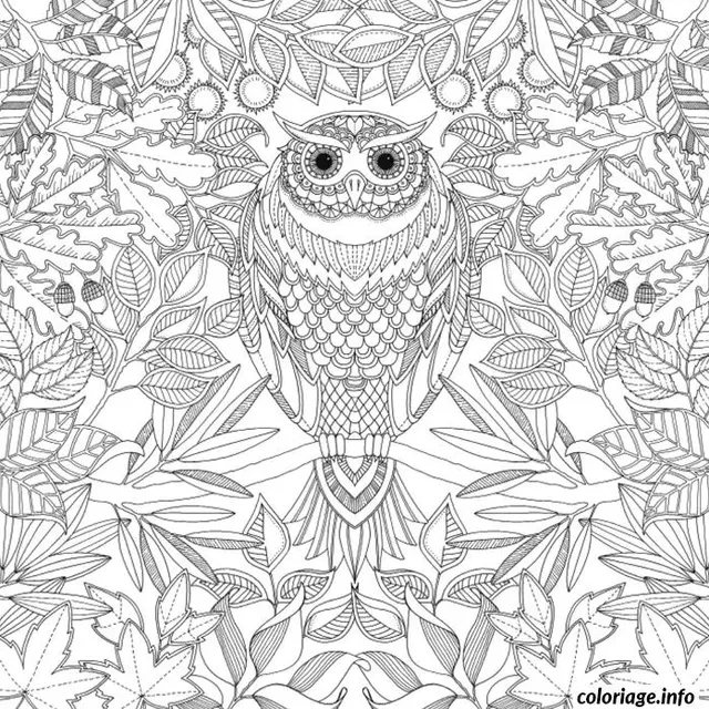 Coloriage Mandala floral apaisante pour adultes - Anti stress à imprimer