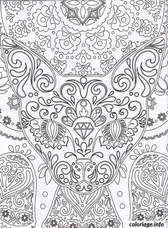 Coloriage Dessin chat mandala adulte difficile - Chat mandala à imprimer