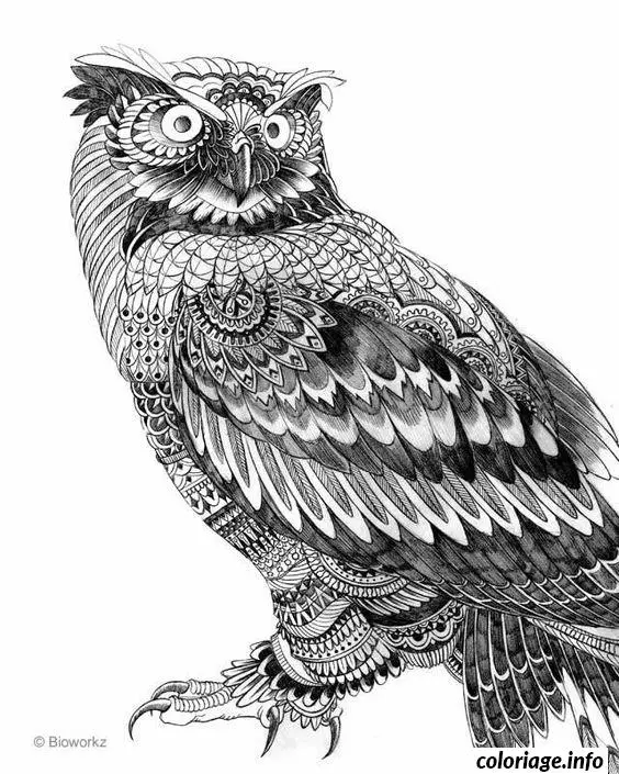 Coloriage Difficile adulte hibou animaux - Difficile à imprimer