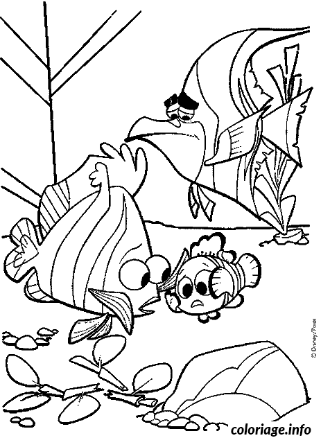 Coloriage Nemo et des poissons dans l'aquarium - Poisson à imprimer