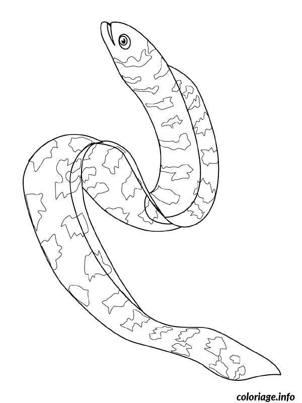 Coloriage Poisson de mer avec nageoires ondulantes - Poisson à imprimer