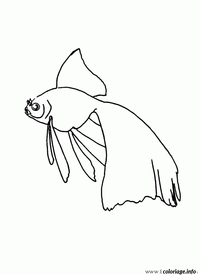 Coloriage Petit poisson nageur en eau douce - Poisson à imprimer