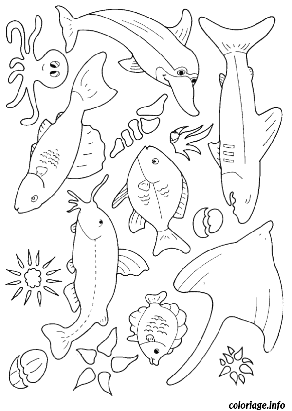 Coloriage Poisson tropical aux écailles détaillées - Poisson à imprimer