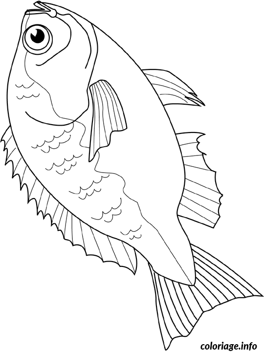 Coloriage Petit poisson mignon en costume rayé - Poisson à imprimer