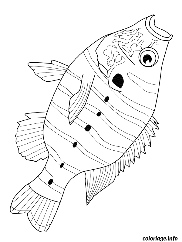 Coloriage Poisson tropical aux nageoires ondulantes - Poisson à imprimer