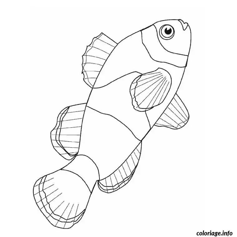 Coloriage Poisson clown - Poisson à imprimer