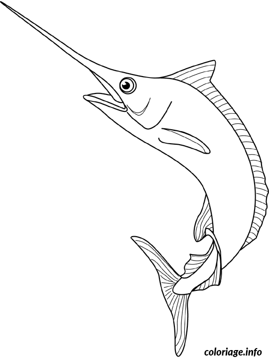 Coloriage Bleu marlin - Poisson à imprimer