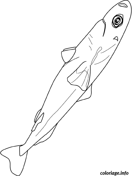 Coloriage Luminous shark - Poisson à imprimer