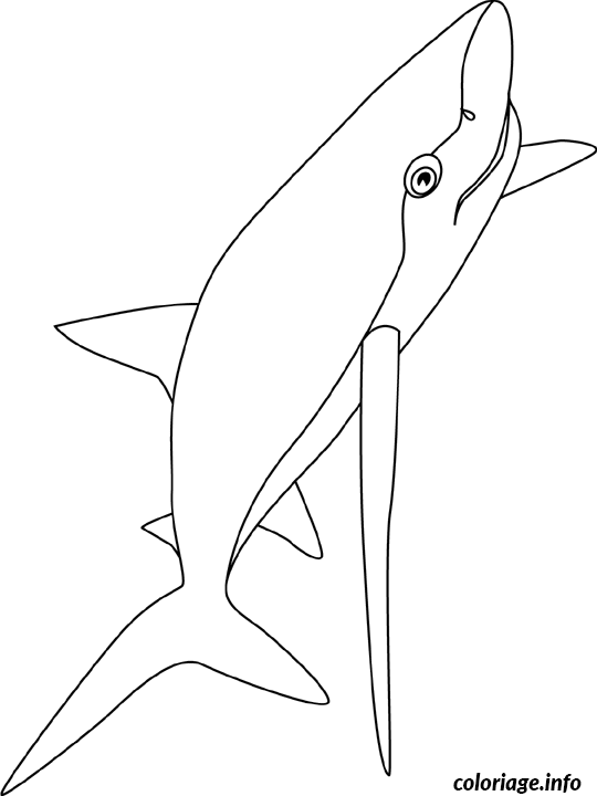 Coloriage Aigrefin bleu - Non classé à imprimer