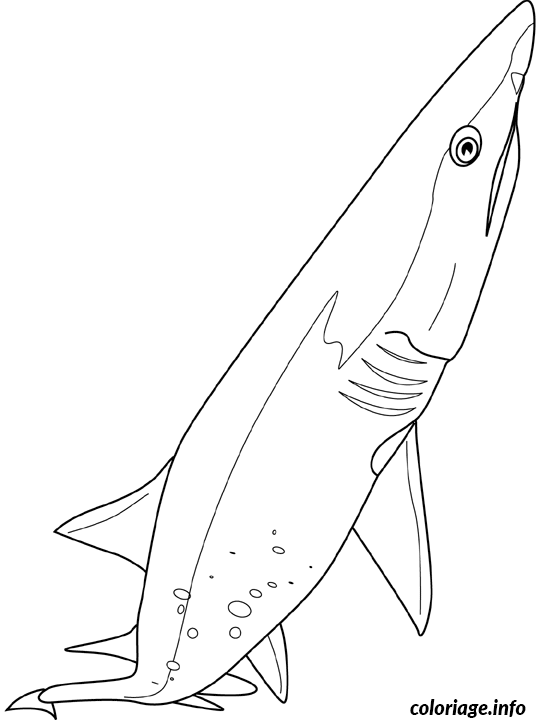 Dibujo de Tiburón de arena para colorear