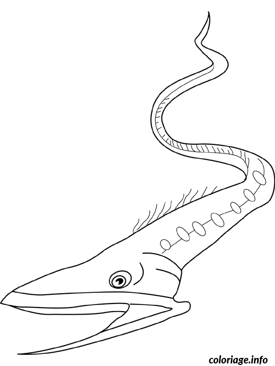 Coloriage Anguille gulper - Non classé à imprimer