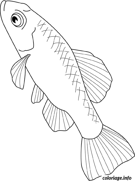 Coloriage Pupfish - Non classé à imprimer