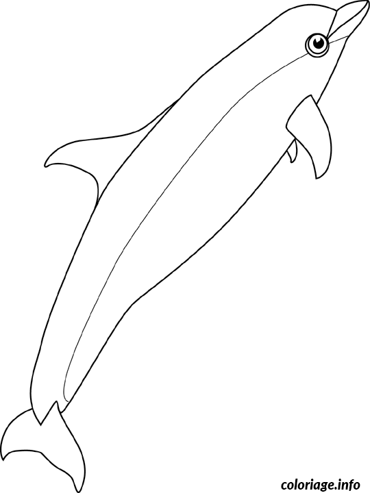 Coloriage Baleine bottlenose - Baleine à imprimer