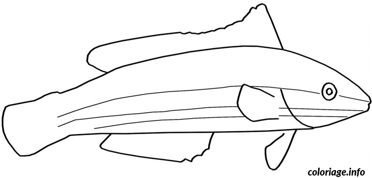 Coloriage Poisson d'avril prêt a decouper - Poisson à imprimer