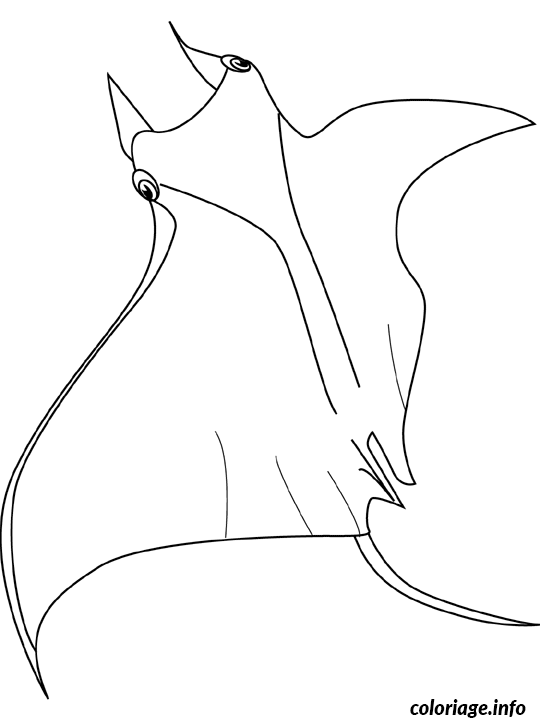 Coloriage Raie - Non classé à imprimer