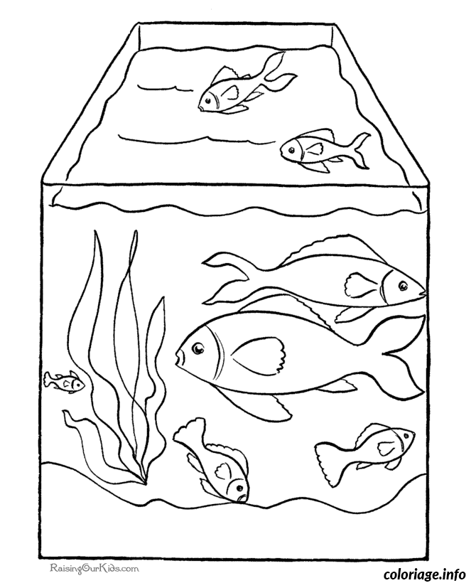 Coloriage Poisson exotique aux écailles détaillées - Poisson à imprimer