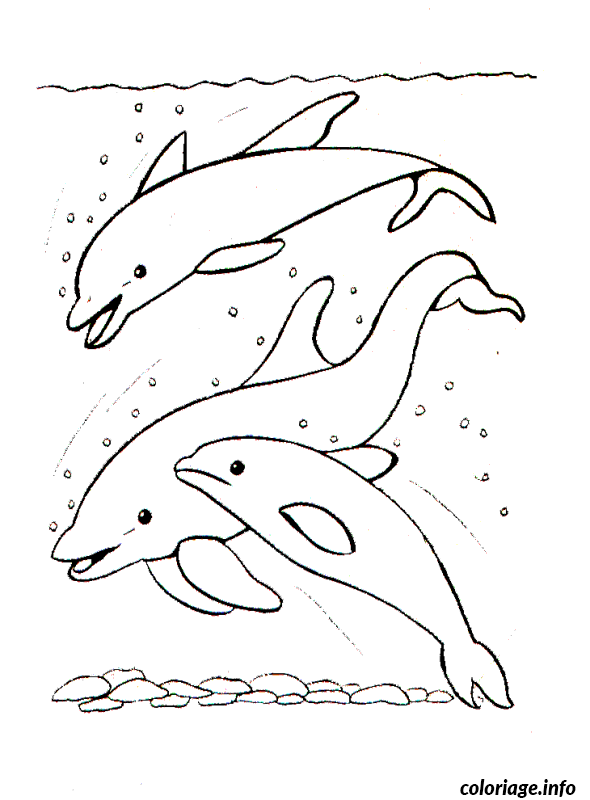 Coloriage Poisson nageur aux motifs géométriques - Poisson à imprimer