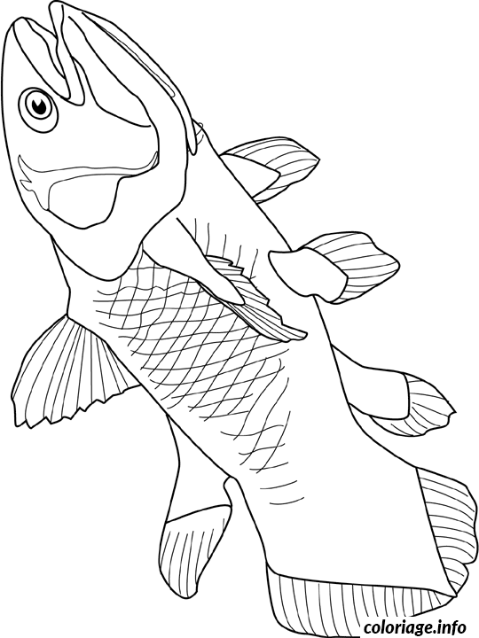 Coloriage Coelacanth - Non classé à imprimer