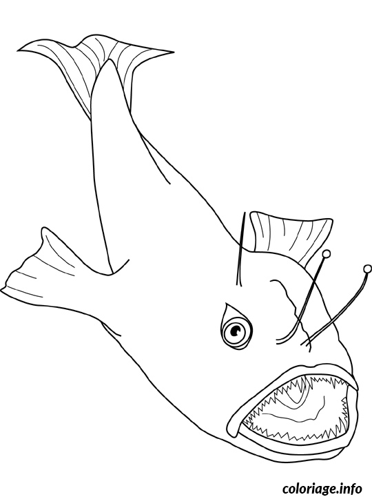 Coloriage Anglerfish - Non classé à imprimer