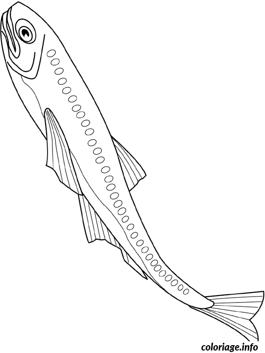 Lanternfish coloring page to print