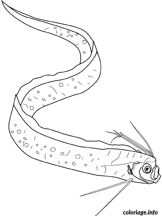 Coloriage Oarfish - Poisson à imprimer