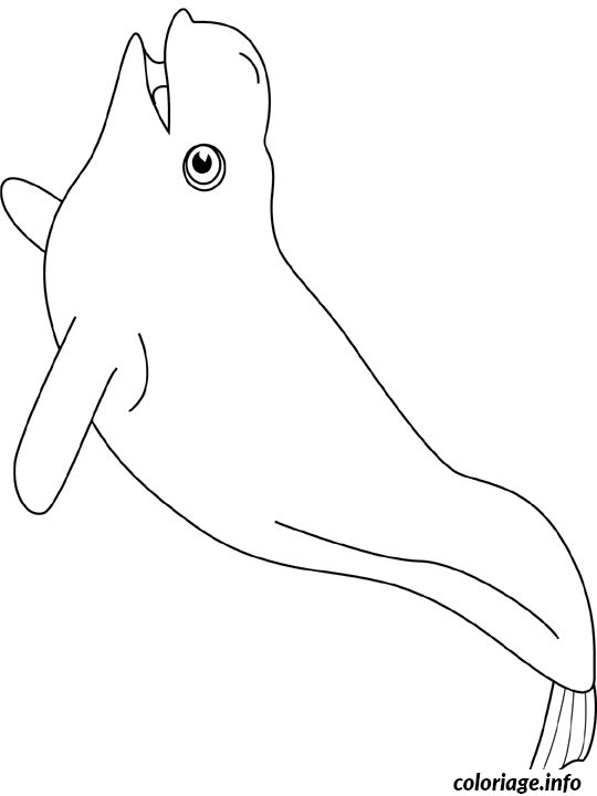Coloriage Baleine grand esturgeon - Baleine à imprimer