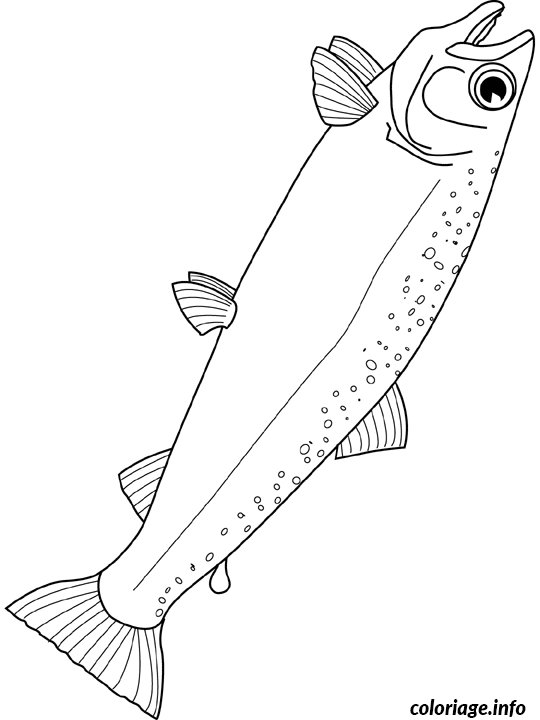 Coloriage Saumon - Poisson à imprimer