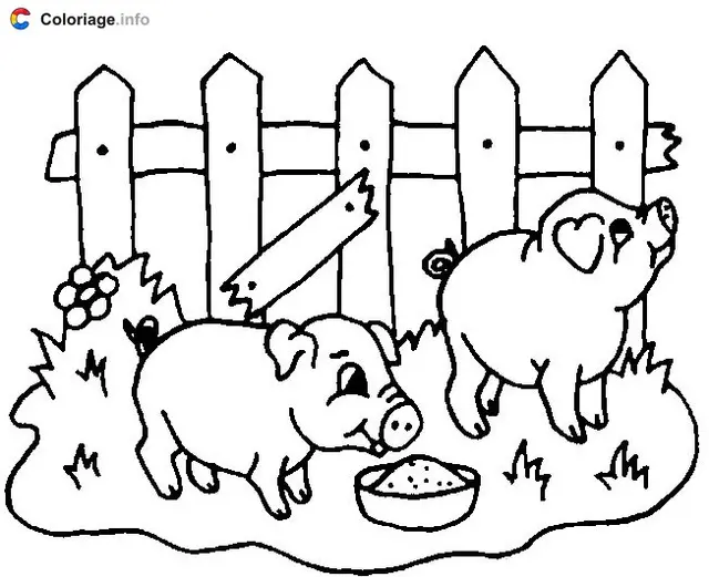 Coloriage 2 cochons dans un enclos - Cochon à imprimer