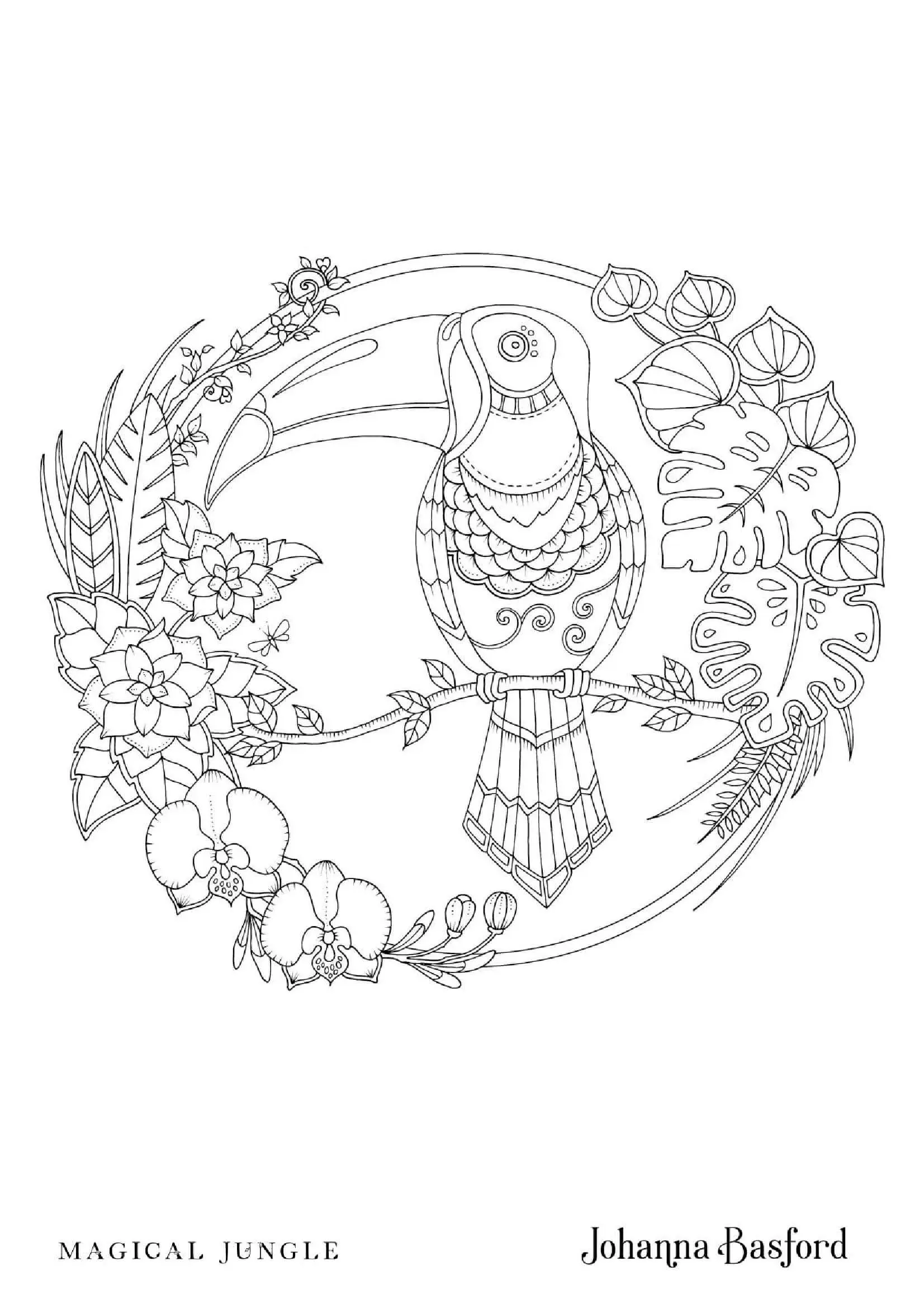 Coloriage Toucan enchanté de la jungle magique - Adulte par johanna basford à imprimer