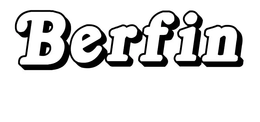 Coloriage Berfin - Prénom à imprimer