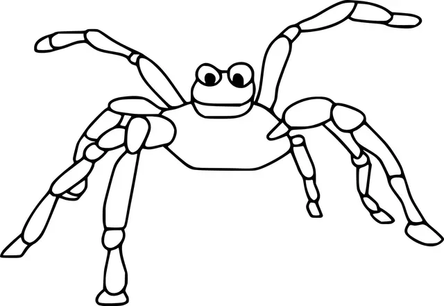 Coloriage Araignée Cartoon Effrayante - Araignée à imprimer