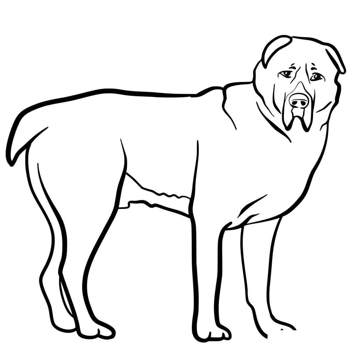 Central Asian Shepherd Dog coloring page to print