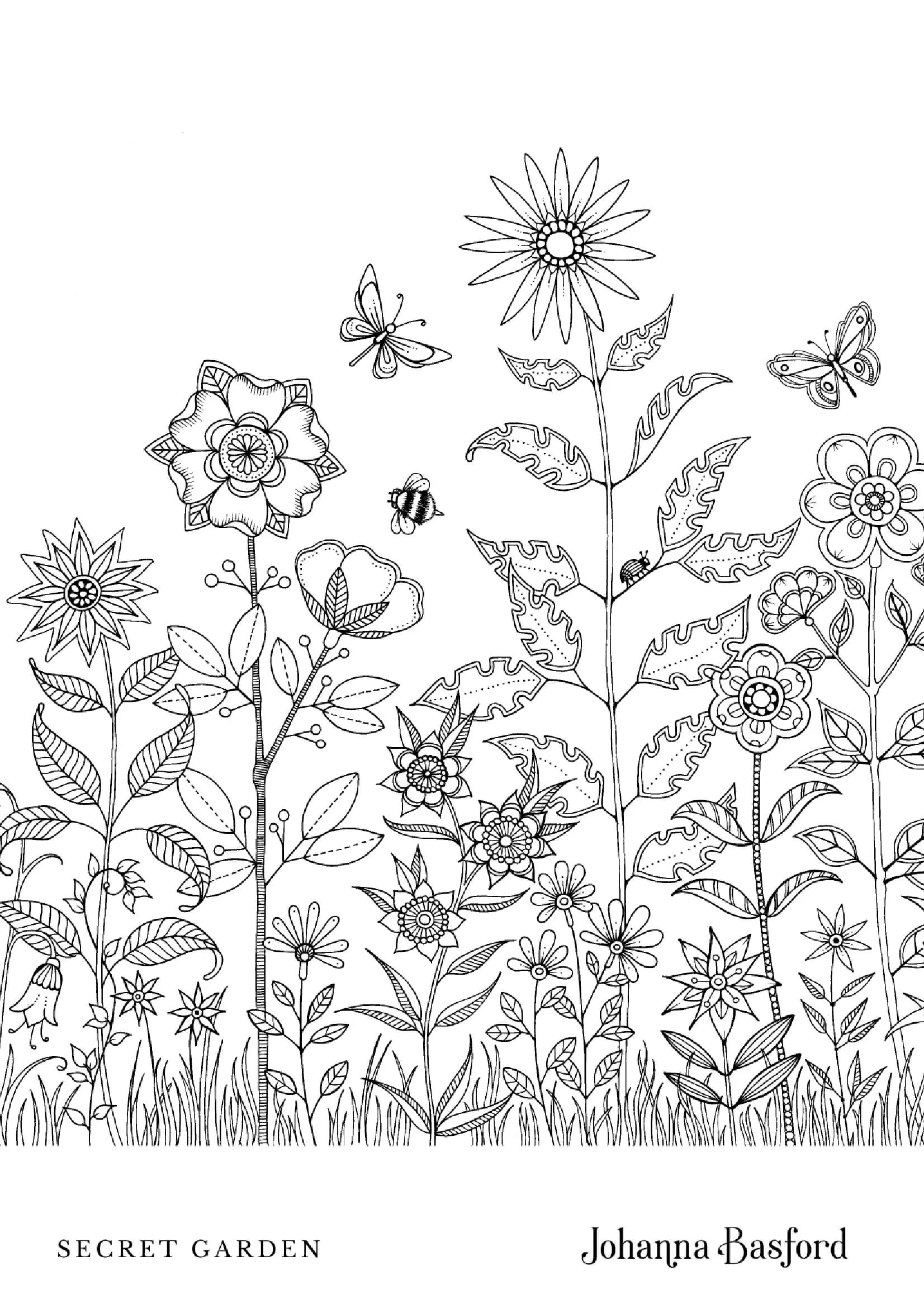 Coloriage Prairie fleurie du jardin secret - Adulte par johanna basford à imprimer